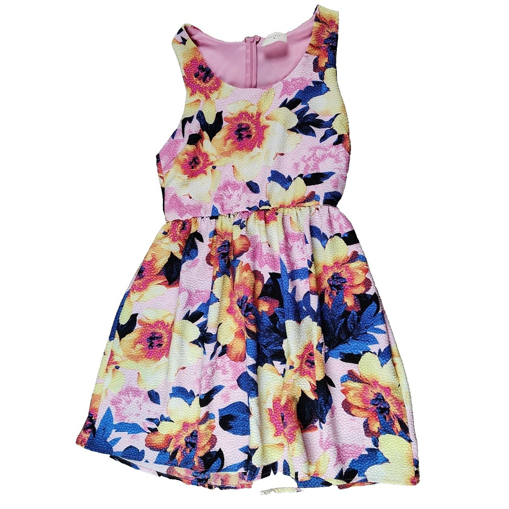Everly Multi-Colored Floral‎ Sleeveless Dress Pleated Large Zip DR6023 Anthro